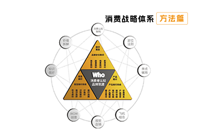 【消費(fèi)戰(zhàn)略方法論】消費(fèi)烙印的策略模型